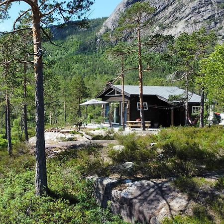 Treungen Cosy Cabin Between Lake And Mountain מראה חיצוני תמונה