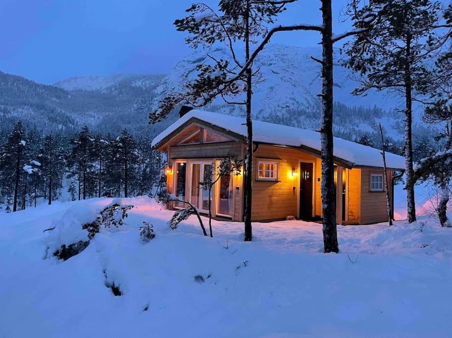 Treungen Cosy Cabin Between Lake And Mountain מראה חיצוני תמונה